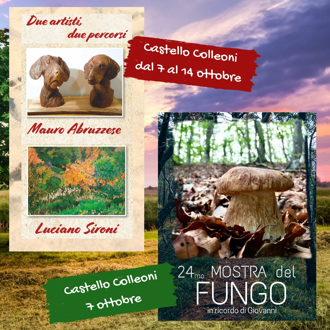 Mostre al Castello