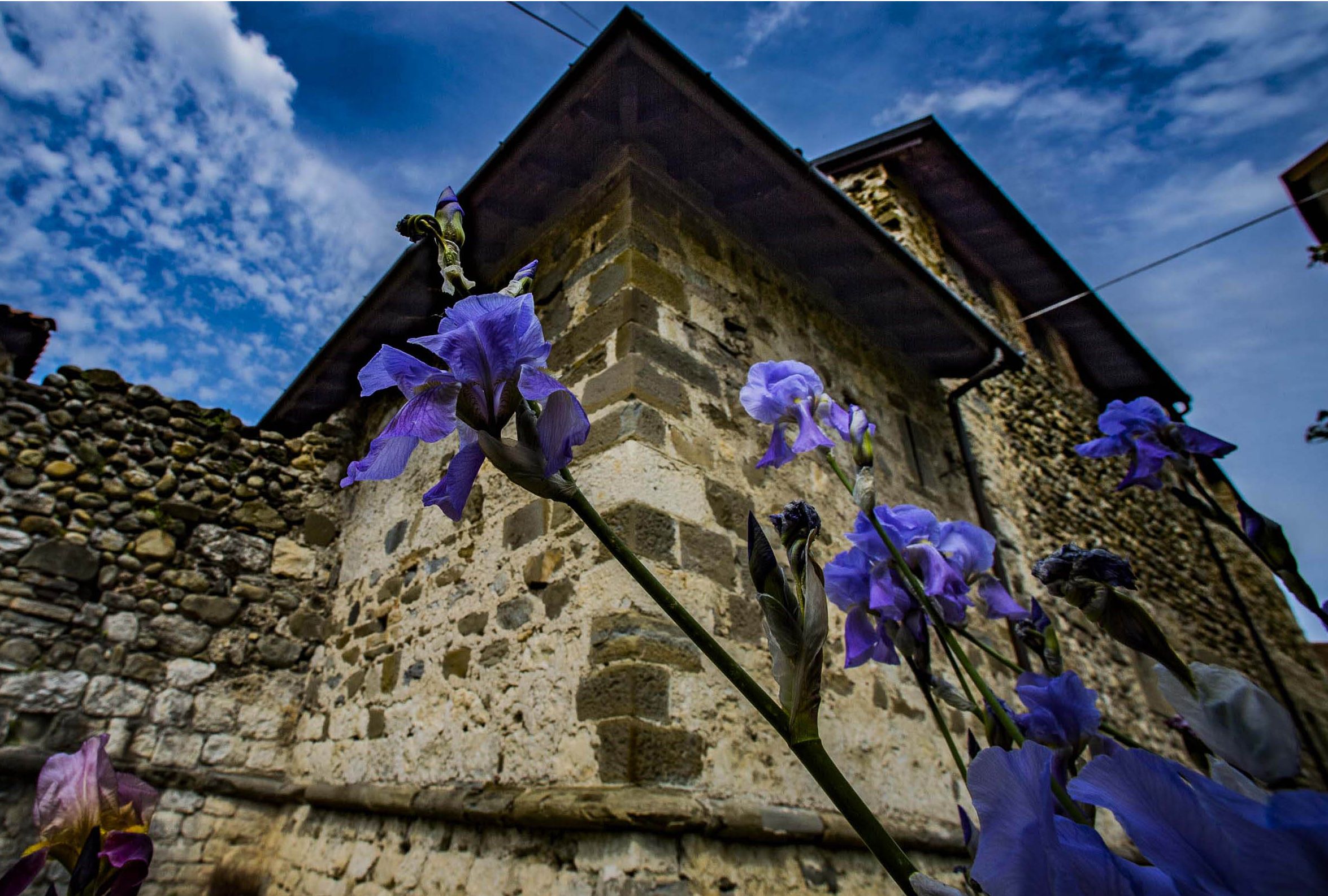 castello_fiori