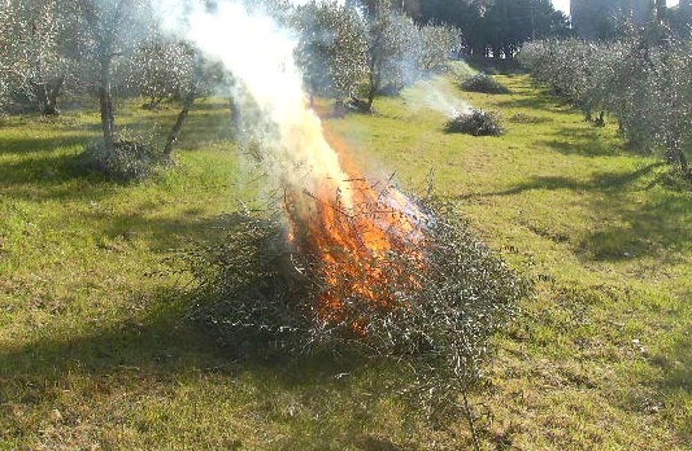 Divieto della combustione di residui vegetali, agricoli e forestali.